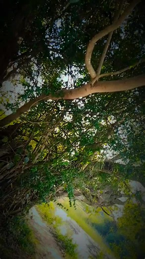 Tik_tok___dana (@tik_tok___dana)’s videos with original sound - DNS TUNES OFFICIAL 🎧 🇱🇰