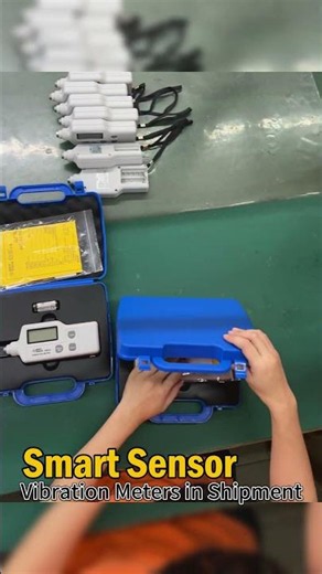 Bulk Shipment: 1000+ Vibration Meters Ready for Delivery | Factory Footage