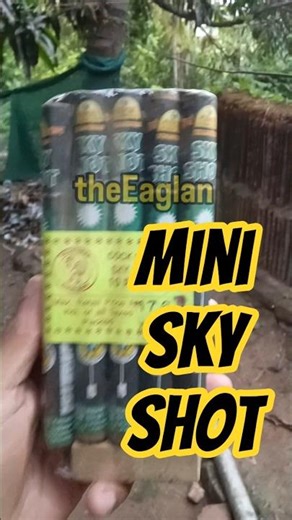 Mini Sky Shot 💥#happyvishu #skyshot #fireworks #padakkam #theeaglan #sub #vishu #fire #new #mallu