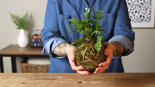 How to Make a DIY Kokedama Ball