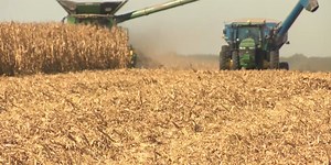 House passes one-year farm bill extension to avoid reverting to permanent law