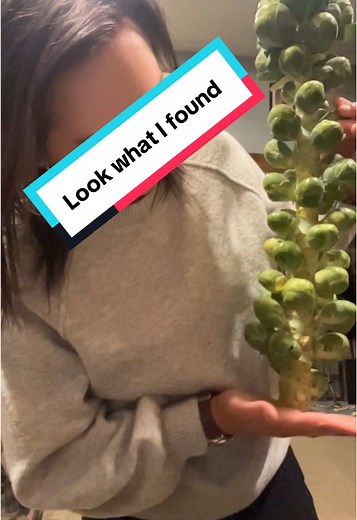 I love brussel sprouts. Also can be used as a baseball bat 🤷🏻‍♀️