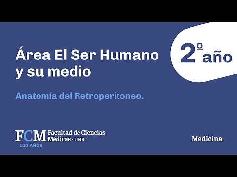 Area The Human Being and its Environment - 2nd year: Anatomy of the Retroperitoneum.