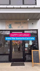 26 reactions | It’s #Caturday so let’s answer a FAQ about visiting the @santafecatcafe  ➡️ Many have visited our downstairs cafe and cat lounge, but have you been upstairs?! We recommend grabbing your favorite drink from the cafe, and heading up there for some kitten watching! Purrrfect for chilly spring days like today  And happy news! Our current kitten nursery residents Maggie & Patch are headed to their new furever home soon  | Turquoise Teapot & Cat Cafe | Facebook