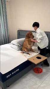 What did you think he was doing in the house? It turned out that he was giving the dog a massage