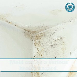 Professional mold remediation can help improve the health of your family and even your pets by completely removing mold from your home. Get in touch with us to get started! 🧼Get a quick response via call/text (845)268-5660 #AMHRestoration #waterdamage #mold #moldremediation #waterdamagerestoration #moldremoval #propertydamage #watermitigation #waterrestoration #waterdamagerepair #publicadjuster #insuranceclaim #molddamage #restorationcompany #waterdamagespecialist #PearlRiver #CentralValley #Ne