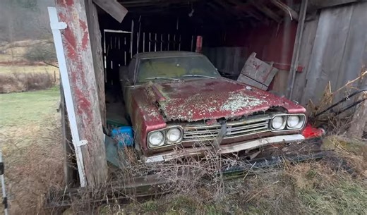 Mopar Barn Finds: Plymouth Road Runners Parked for Decades Need a Second Chance