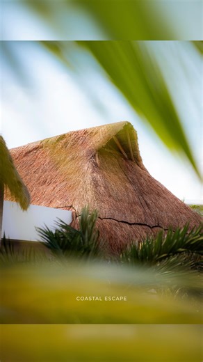 Coastal Escape MX | Sun on your skin, the sea ahead, and a drink made for staying awhile. Riviera Maya feels like a pause you didn’t know you needed. 🌴✨ Let... | Instagram