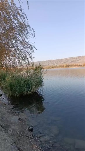 tiko (@tiko_kano)’s videos with original sound - tiko