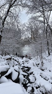 walking in a literal winter wonderland ❄️ | Robyn Adele Anderson