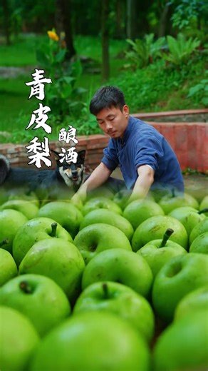 7.1K views · 214 reactions | Beyond basic wine | Discover the "healing" power of traditional pear wine | Village Lifestyle Vlog | Facebook