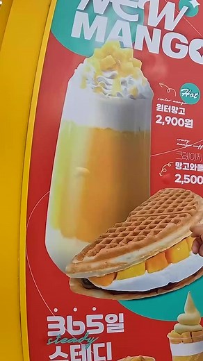 $2 WAFFLE Taco in South Korea is a MUST TRY! | Strictly Dumpling