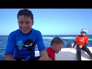 Ninja Kidz TV! Swimming in the Ocean with Whale Sharks and Manta Rays