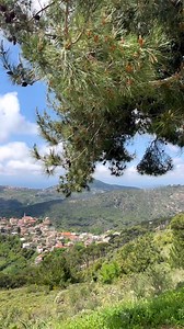 14K views · 1.2K reactions | The amazing nature of South Lebanon By @my_lebanon1 #Nature #Hiking #Exploring #Travel #Destination #MyLebanon #AmazingLebanon #LiveLoveLebanon #DiscoverLebanon #ExploreLebanon #ProudLebanese #LebaneseAmericans #Lebanon #Lebanese #AmericansLebanese | Lebanese Americans | Facebook