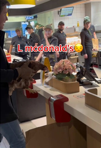 Burger King vs McDonald's: A Culinary Comparison