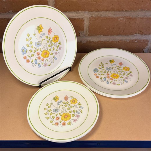 8 Piece Vintage Corelle Meadow Plate Set