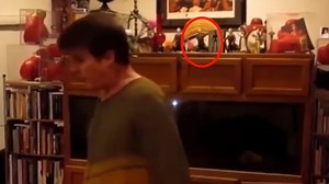 2.4K views · 169 reactions | Today on Dylan Is Chillin: Are These Scary Videos Haunted. You might know me as the Top15s narrator, the Chills YouTuber, Dylan or just the guy with a monotone voice. My top creepy countdown videos always give an in-depth analysis of scary internet videos that are strange, bizarre, mysterious, and sometimes unexplainable in hopes of determining if said scary videos are real or fake. | Dylan Is Chillin | Facebook