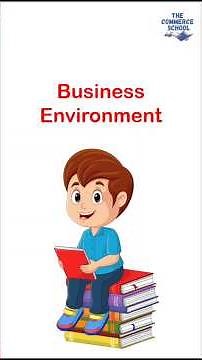 What Is the Business Environment?