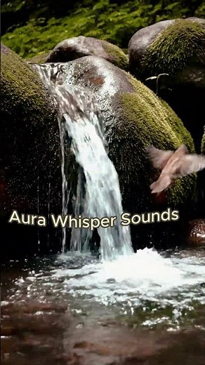 ASMR Forest Calm – Deep Sleep Nature Ambience & Whisper Tones | Aura Whisper Sounds