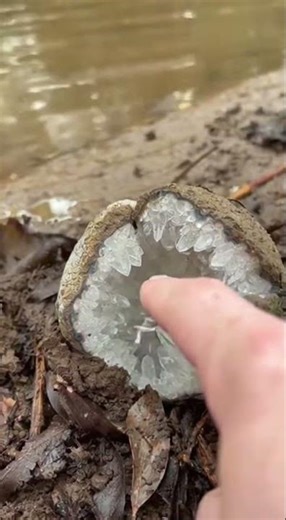 The Living Lode Geode: a crystalline creature that 'tastes' the world with a harmless jolt.