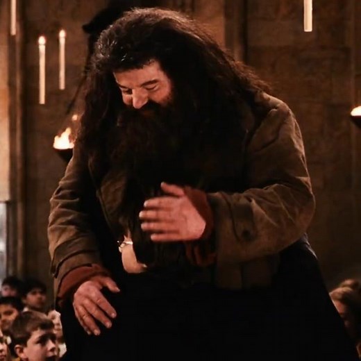 Goodbye Rubeus Hagrid. (RIP Robbie Coltrane) | Harry Potter edit