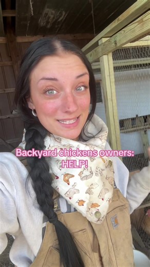 Essential Tips for Raising Baby Chicks Safely