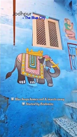 Rajasthan’s Colorful Cities 🌈 | Explore the Pink, Blue, Gold & White Wonders of India!