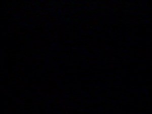 Walt Disney Home Video Cartoon Classics: Limited Gold Edition II: From Pluto with Love (Laserdisc)