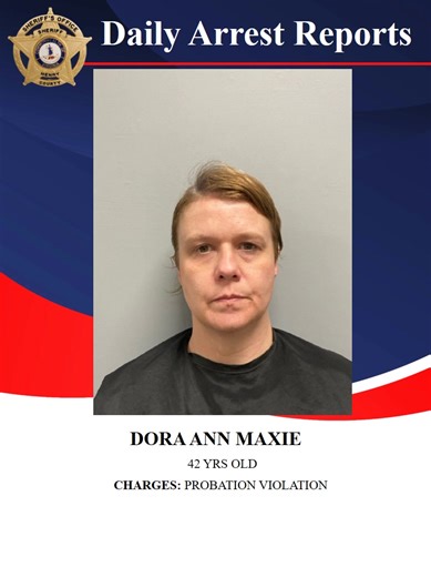 20K views · 76 reactions | The Henry County Sheriff's Office Daily Arrest. | Henry County Sheriff's Office | Facebook