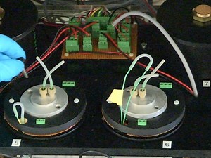 Parallel Measurement of Circadian Clock Gene Expression and Hormone Secretion in Human Primary Cell Cultures