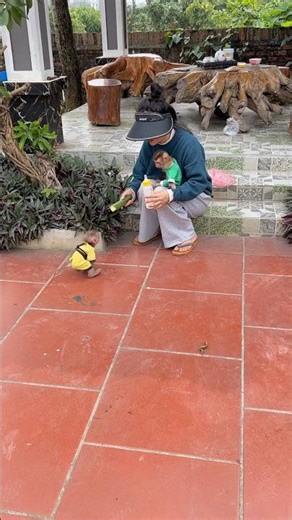 The baby monkey ran over when it heard its mother calling.