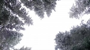 4.7K views · 99 reactions | We have received a LOT of snow here at...