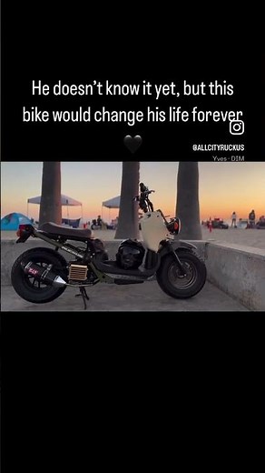 New Honda Ruckus 2024