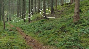 You may have heard us say last year - with the launch of our Spectral 29 CF - That we had created one bike for any trail. But wait - What if your riding, your style demands something different? Maybe you are a fan of a full 27.5 inch setup - we can't blame you for that after all, 27.5 ain't dead and is always a good time. Or maybe you're on the hunt for one of the latest crops of mixed wheelsize mullet bikes? What about if you're on a budget? Or just wanna keep it real with an aluminium frame? O