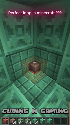 Perfect Loop in Minecraft!! #gmaing #minecraft #loop #shorts #tiktok #viral #makethismakesense