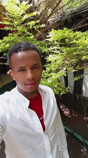 New chapter 1 (@new.chapter.1)’s videos with original sound - daree