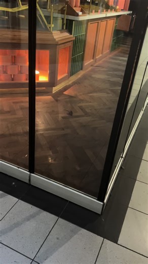 Verse Koekjes Proeven bij de Koekemannetjes op Schiphol