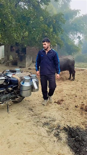 Rahul Yadav on Instagram: "राहुल यादव खलीलाबाद.....🔥💯❤️"