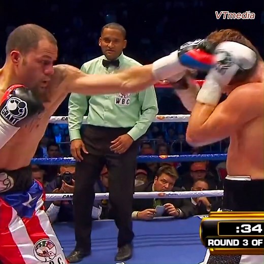 Sergio Martinez vs Antonio Margarito Full Highlights | SFB