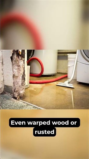 Hidden Signs Your Brooklyn Basement Has Water Damage
