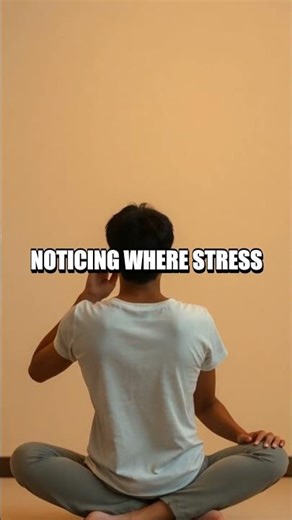 The Gentle Pause: A Daily Reset for Mind and Mood