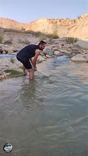 Big Fish Catch in One Throw! 🐠🐟