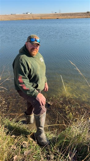 12K views · 296 reactions | Trapping muskrats | Jeff Dunlap | Facebook