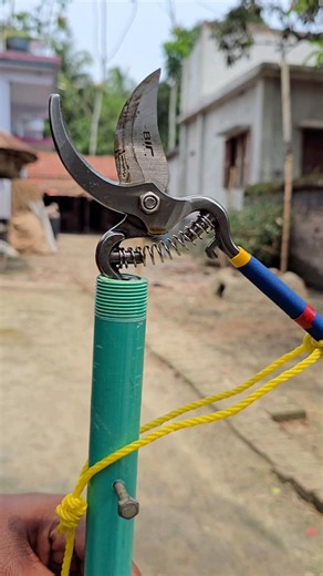 Perfect DIY Tree Pruning Tool!!!