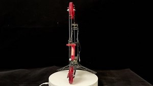 19" Mini Compound Bow Arrows Set 40lbs Field Archery Shooting Hunting Target  | eBay UK