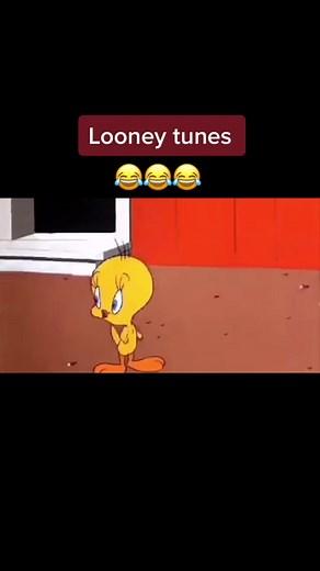 toysloversinc on TikTok