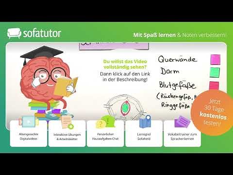 Regenwurm: äußerer & innerer Aufbau – inkl. Ernährung & Lebensraum