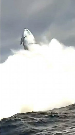 Starship Test Flight 10 – Starship Splashdown