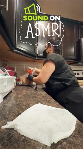 How to Clean a Kitchen Counter the Right Way | Springfield Cleaning Pros (ASMR + Real Home Reset)