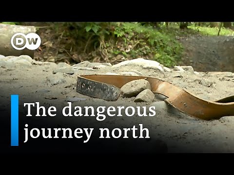 Migrants make jungle crossing on route to the US | DW News